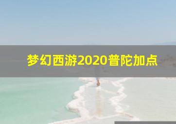 梦幻西游2020普陀加点