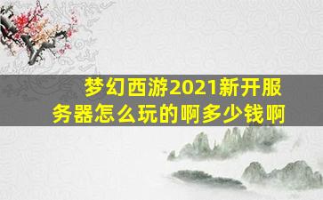 梦幻西游2021新开服务器怎么玩的啊多少钱啊