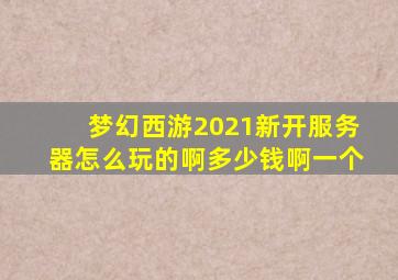 梦幻西游2021新开服务器怎么玩的啊多少钱啊一个