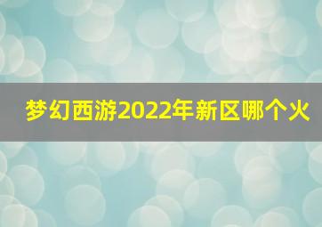 梦幻西游2022年新区哪个火