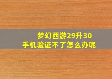 梦幻西游29升30手机验证不了怎么办呢