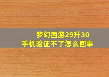 梦幻西游29升30手机验证不了怎么回事