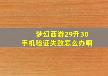 梦幻西游29升30手机验证失败怎么办啊