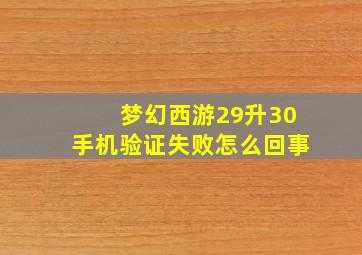 梦幻西游29升30手机验证失败怎么回事