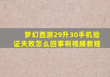 梦幻西游29升30手机验证失败怎么回事啊视频教程