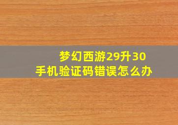 梦幻西游29升30手机验证码错误怎么办