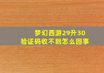 梦幻西游29升30验证码收不到怎么回事