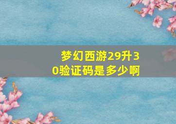 梦幻西游29升30验证码是多少啊