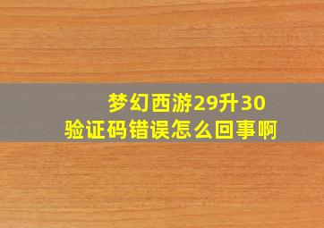 梦幻西游29升30验证码错误怎么回事啊