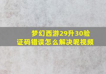 梦幻西游29升30验证码错误怎么解决呢视频