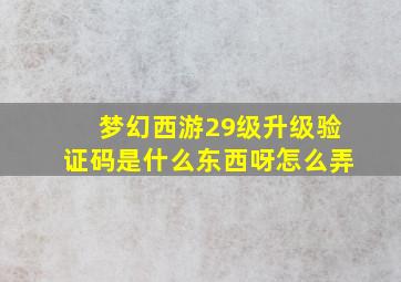 梦幻西游29级升级验证码是什么东西呀怎么弄