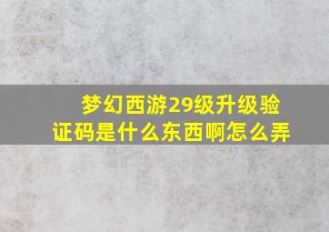 梦幻西游29级升级验证码是什么东西啊怎么弄