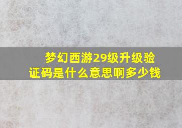 梦幻西游29级升级验证码是什么意思啊多少钱