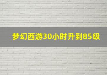 梦幻西游30小时升到85级