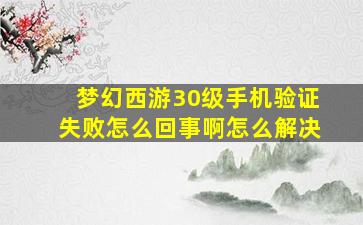 梦幻西游30级手机验证失败怎么回事啊怎么解决