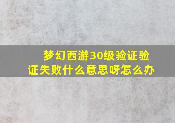 梦幻西游30级验证验证失败什么意思呀怎么办