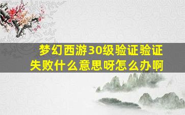 梦幻西游30级验证验证失败什么意思呀怎么办啊