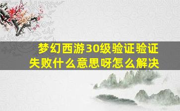 梦幻西游30级验证验证失败什么意思呀怎么解决