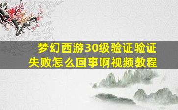 梦幻西游30级验证验证失败怎么回事啊视频教程