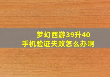 梦幻西游39升40手机验证失败怎么办啊