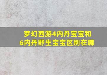 梦幻西游4内丹宝宝和6内丹野生宝宝区别在哪