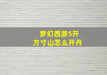 梦幻西游5开方寸山怎么开丹