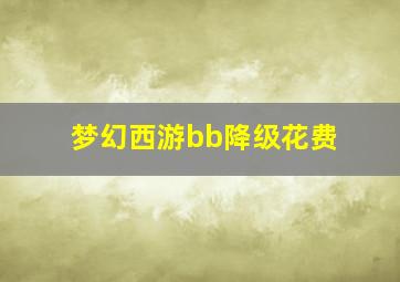 梦幻西游bb降级花费