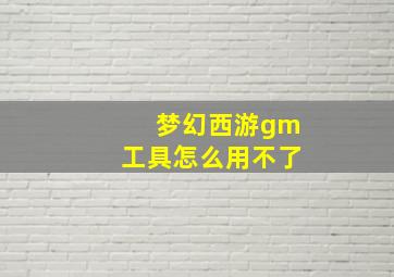 梦幻西游gm工具怎么用不了