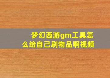 梦幻西游gm工具怎么给自己刷物品啊视频