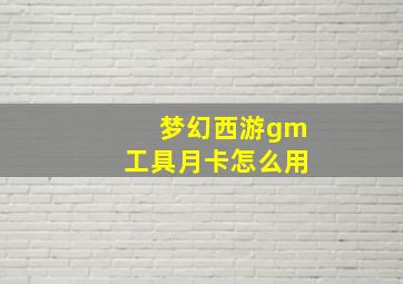 梦幻西游gm工具月卡怎么用