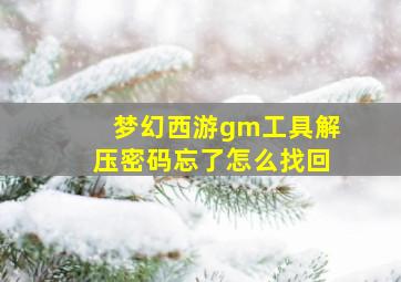 梦幻西游gm工具解压密码忘了怎么找回