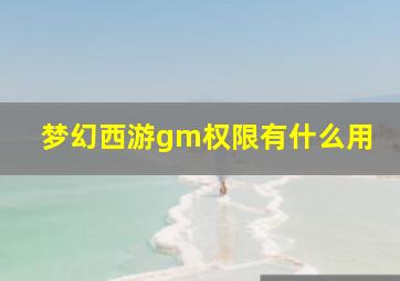 梦幻西游gm权限有什么用