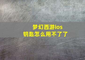 梦幻西游ios钥匙怎么用不了了