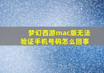 梦幻西游mac版无法验证手机号码怎么回事