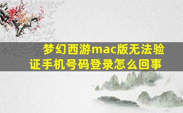 梦幻西游mac版无法验证手机号码登录怎么回事