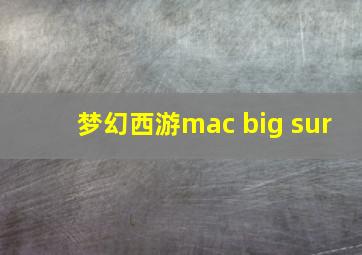 梦幻西游mac big sur