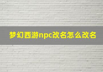 梦幻西游npc改名怎么改名