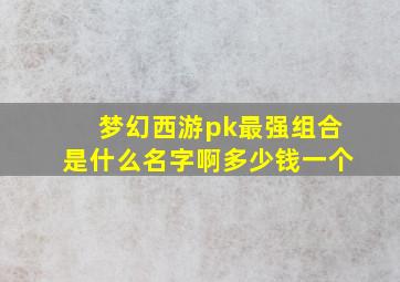 梦幻西游pk最强组合是什么名字啊多少钱一个