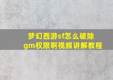 梦幻西游sf怎么破除gm权限啊视频讲解教程