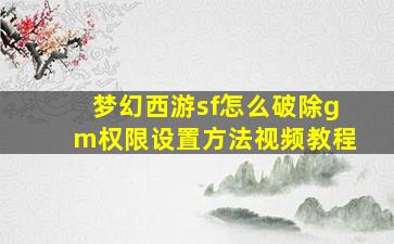 梦幻西游sf怎么破除gm权限设置方法视频教程