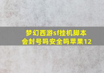 梦幻西游sf挂机脚本会封号吗安全吗苹果12