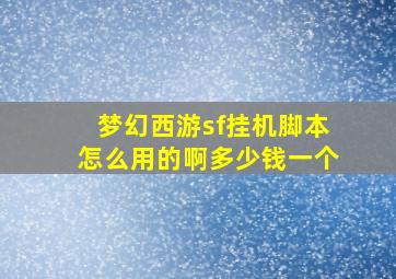 梦幻西游sf挂机脚本怎么用的啊多少钱一个