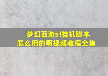 梦幻西游sf挂机脚本怎么用的啊视频教程全集