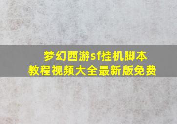 梦幻西游sf挂机脚本教程视频大全最新版免费