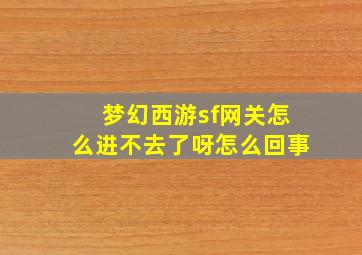 梦幻西游sf网关怎么进不去了呀怎么回事