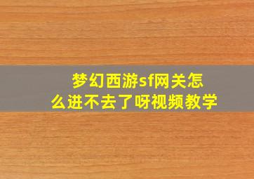 梦幻西游sf网关怎么进不去了呀视频教学