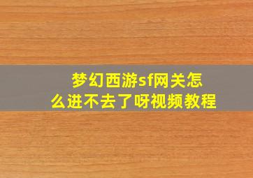 梦幻西游sf网关怎么进不去了呀视频教程