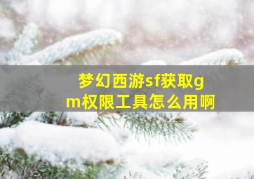 梦幻西游sf获取gm权限工具怎么用啊