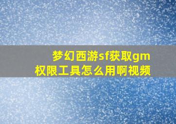 梦幻西游sf获取gm权限工具怎么用啊视频