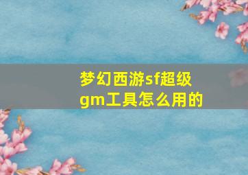 梦幻西游sf超级gm工具怎么用的